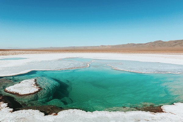 Grüne Salz Lagune in der Atacama Wüste