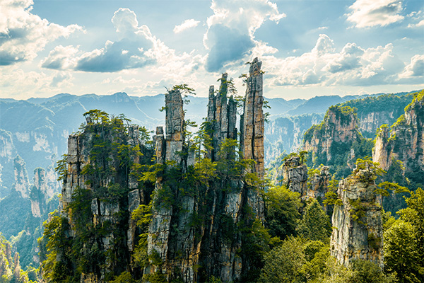 Hochragende Sandsteinsäulen im  Zhangjiajie Nationalpark