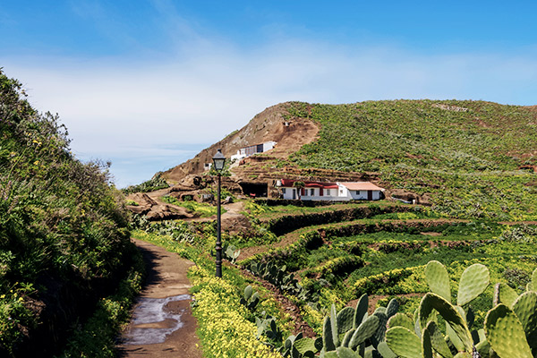 Chinamada Ackerterrassen, Teneriffa