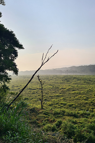 Chitwan Nationalpark, Nepal