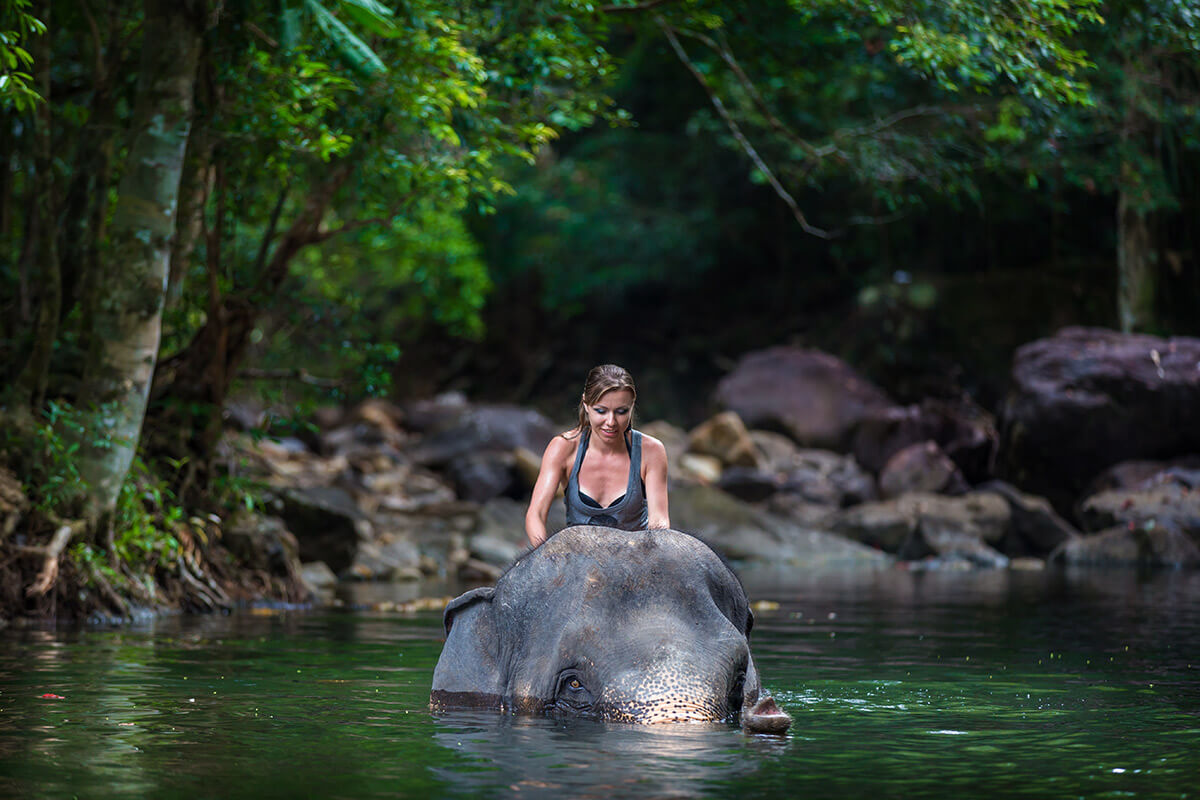 Elefant und Frau im Chitwan Nationalpark
