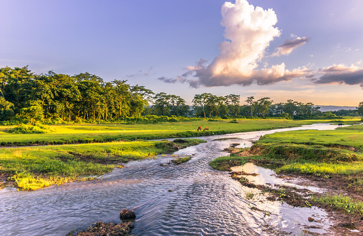 Chitwan Nationalpark