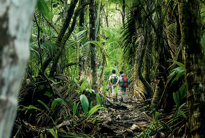 Zwei Wanderer im Corcovado Nationalpark