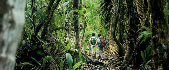 Zwei Wanderer im Corcovado Nationalpark