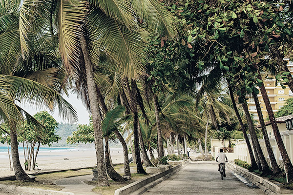 Mit Rad durch Palmen, Costa Rica