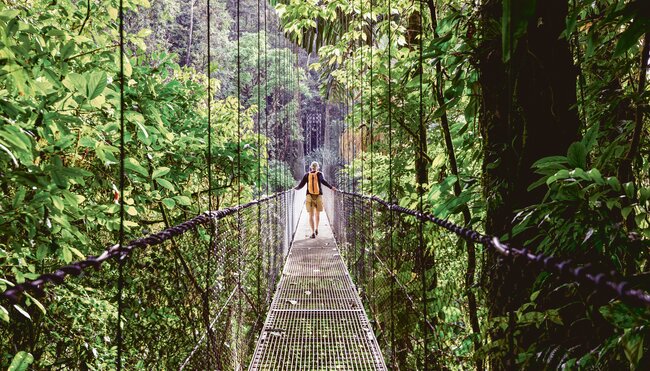 Regenwald in Costa Rica