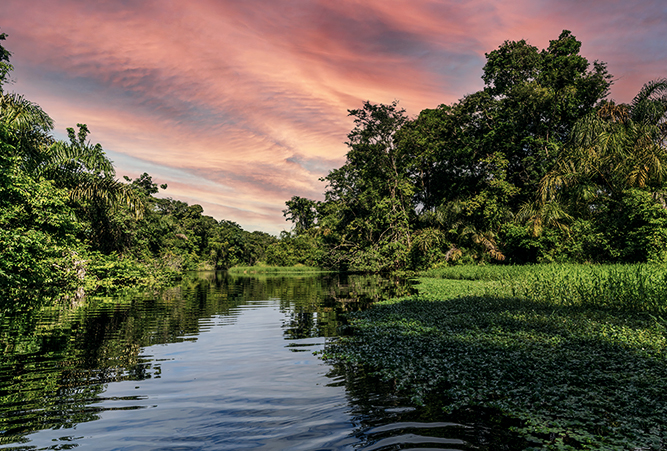 Sonnenuntergang im Tortuguero Nationalpark