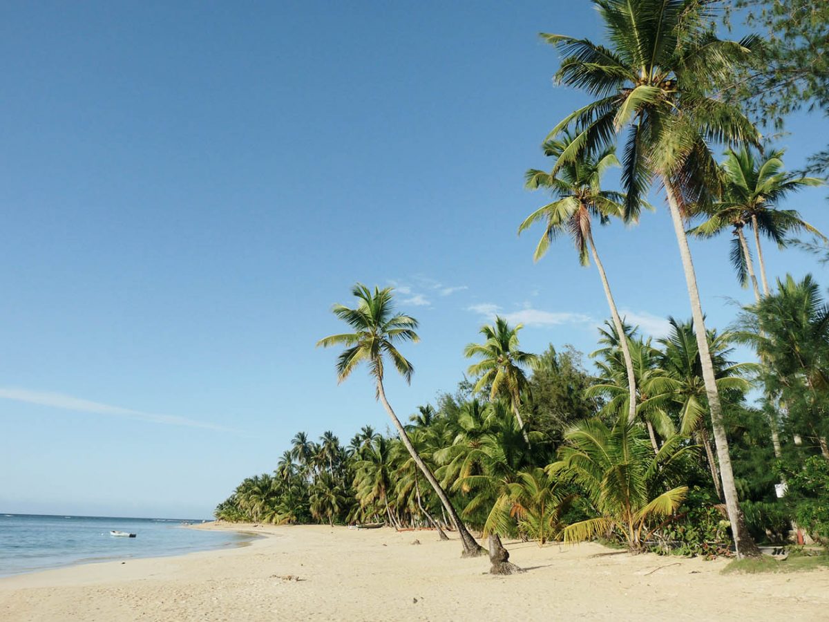 Palmenstrand und Meer