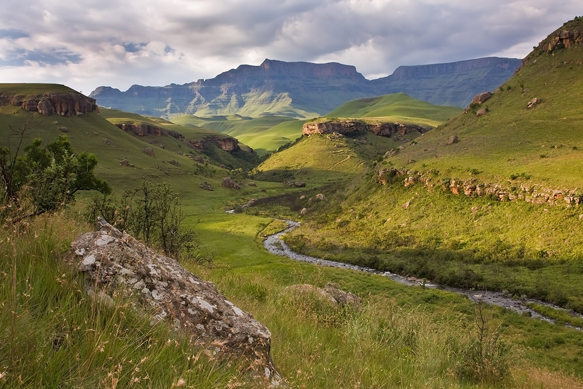 Drakensberge