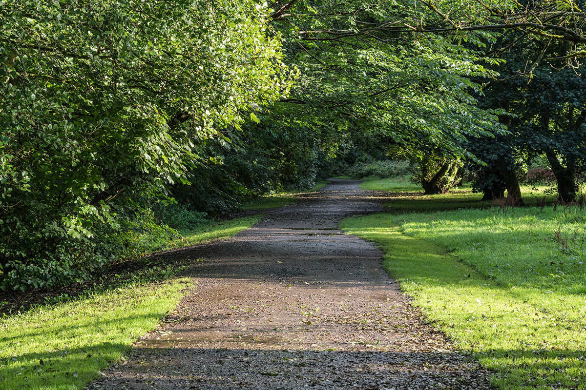 Raus aus Milngavie und rein in die Natur