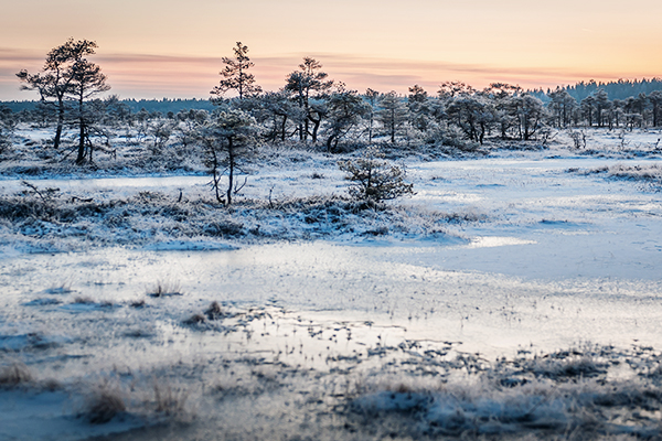 Winterlandschaft in Kakerdaja in Estland
