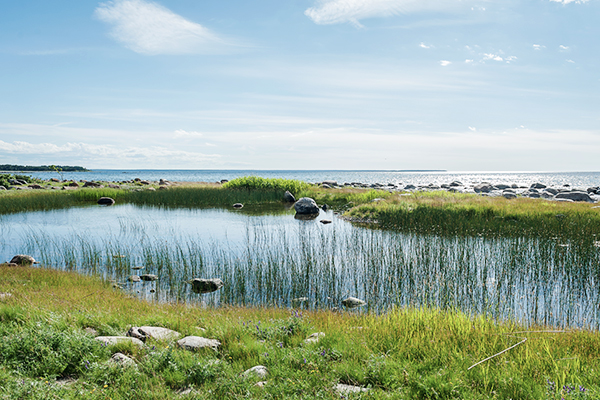 Ein kleiner See vor der Ostseeküste in Estland