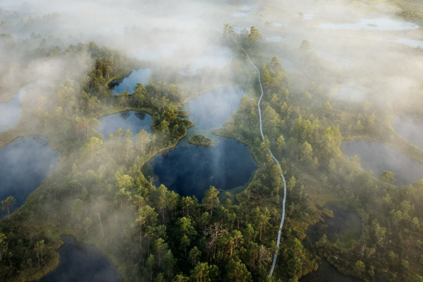 Luftblick auf den Sumpf in Pohja Korvemaa