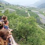 Aussicht über einen Weinbalkon auf das Tal