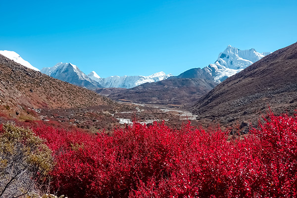 Felder bei Dingboche