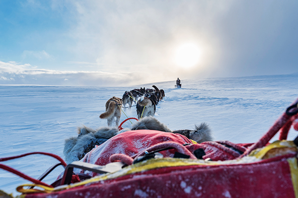 Husky Schlitten im finnischen Winter