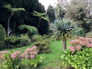 Blumen- und Pflanzenvielfalt