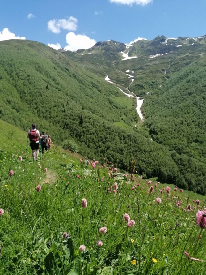 Wanderer auf einer Blumenwiese bei Ushguli