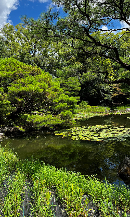 Ginkaku Garten in Kyoto, Japan