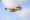 Löschflugzeug vor bewölktem Himmel. Gelb-rötliches Flugzeug vor bewölktem Himmel.