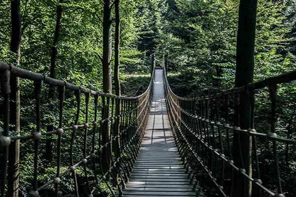 Hängebrücke vom Rothaarsteig, Rothaargebirge, Deutschland