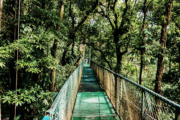 Haengebruecke Monteverde, Costa Rica