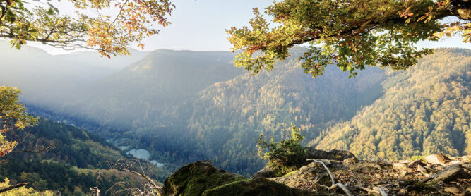 Aussicht im Schwarzwald Nationalpark, Deutschland