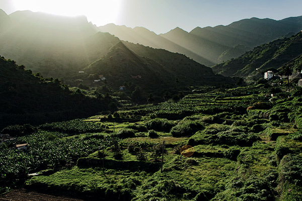 Tal von Hermigua auf La Gomera