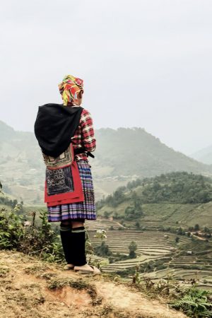 Hmong Frau Reisterrasse, Vietnam