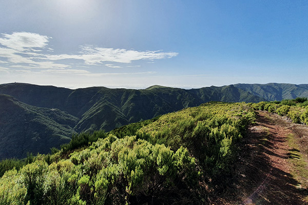 Hochebene des Paul da Serra, Madeira