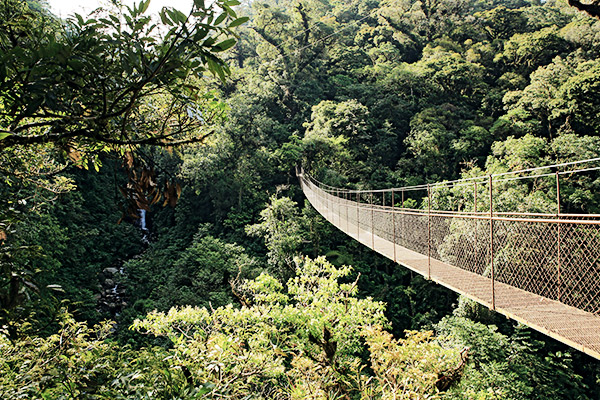 Hochland Boquete, Panama