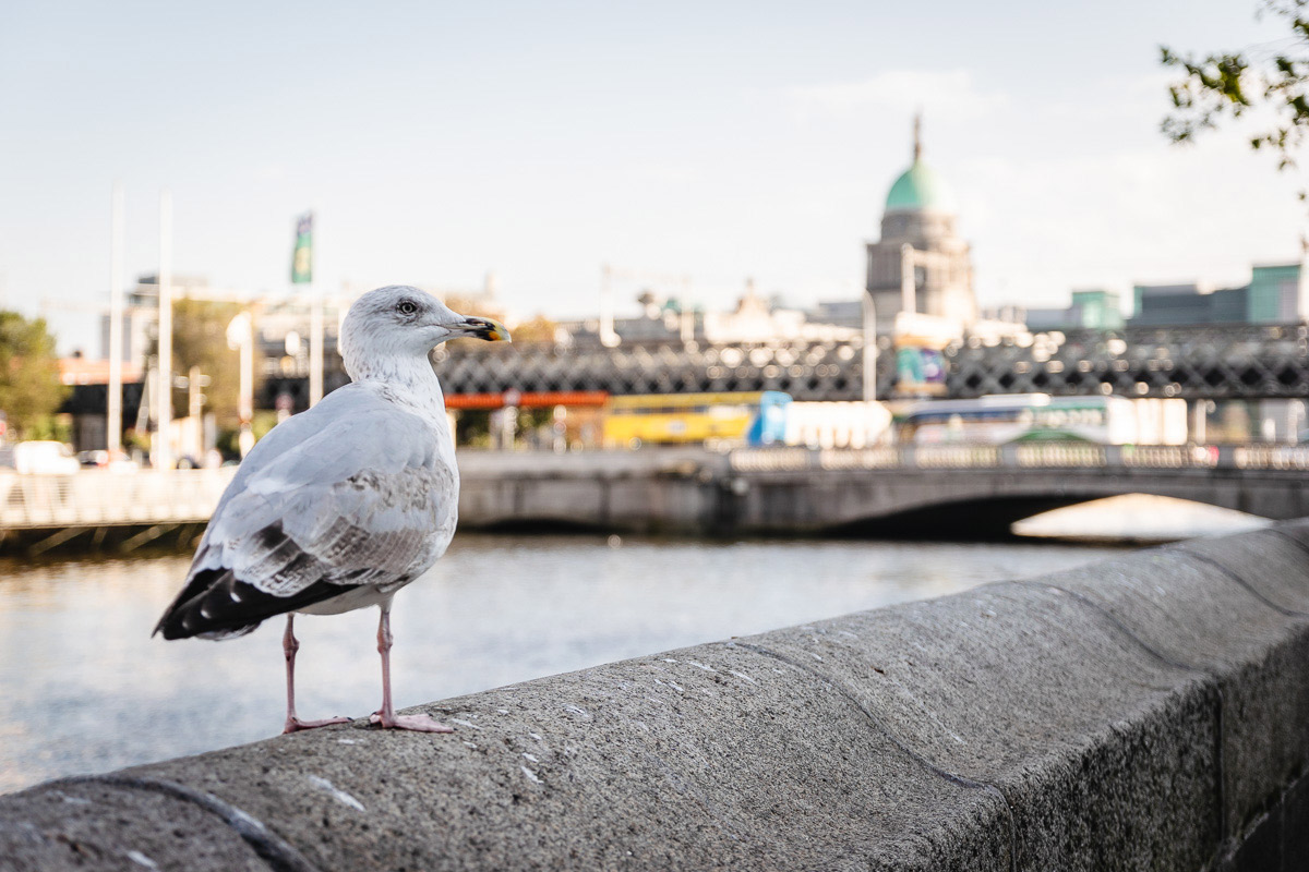 Liffey Fluss mit Blick auf Dublin