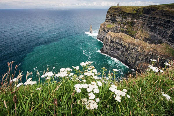 Die Küste Irlands im Frühling