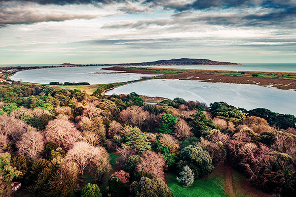 St. Anne Park In Irland im Herbst