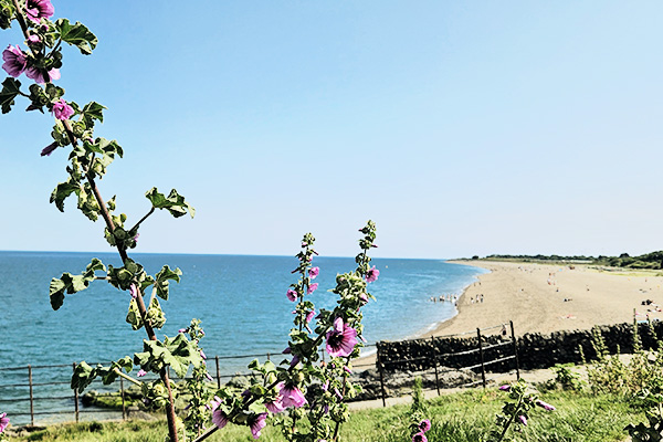 Strand Greystones Irland