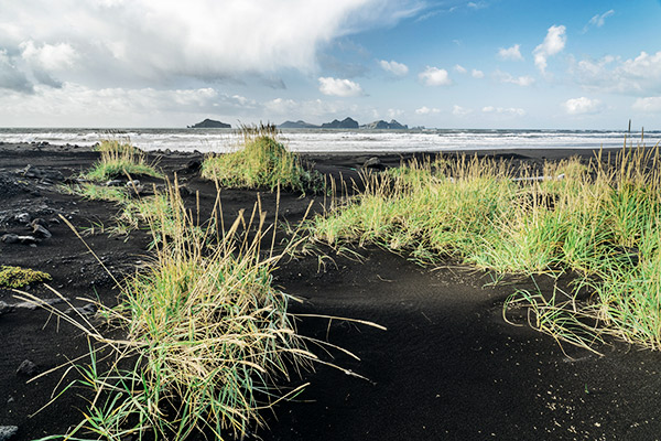 schwarzer Sandstrand, Südküste Island