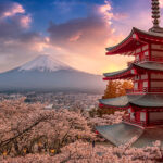 Mount Fuji in der Kirschblüte