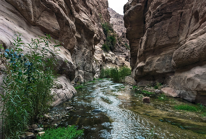 Bach im Wadi Ghuweir