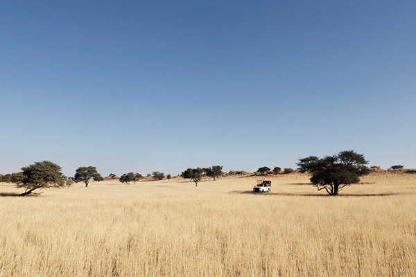 Kalahari Wüste, Botswana