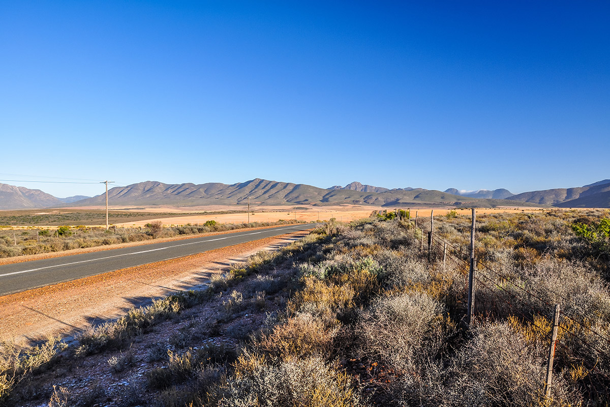 Route 62 in der Karoo