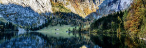 koenigsee-berge-wald