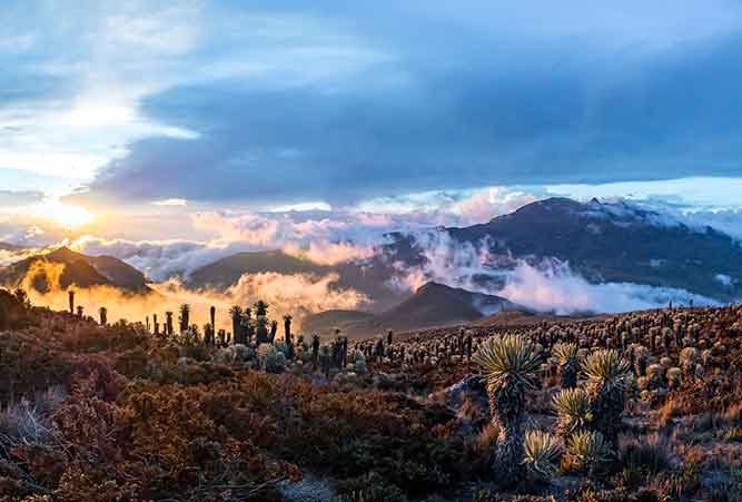 Der Vulkan Tolima im Nationalpark Los Nevados