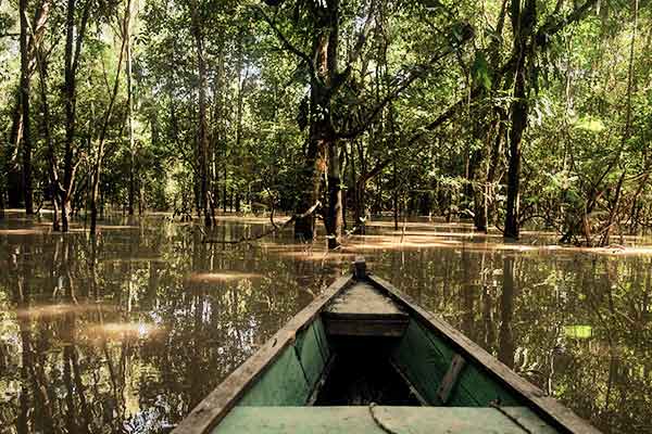 Boot im Amazonasregenwald nahe Mocagua