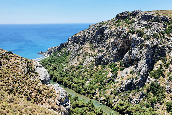 Blick auf den Palmenstrand