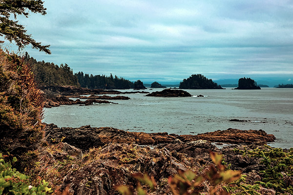 Küstenlinie im Pacific Rim Nationalpark, Kanada