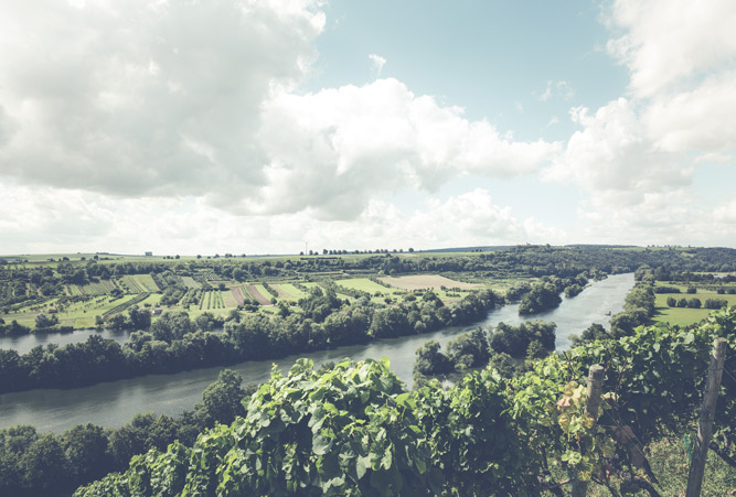 Ausblick auf Weinberge und gepflegte, grüne Kulturlandschaften die durch einen mittel breiten Fluss durchtrennt werden