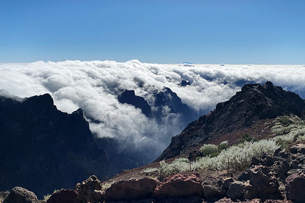 Roque de los Muchachos