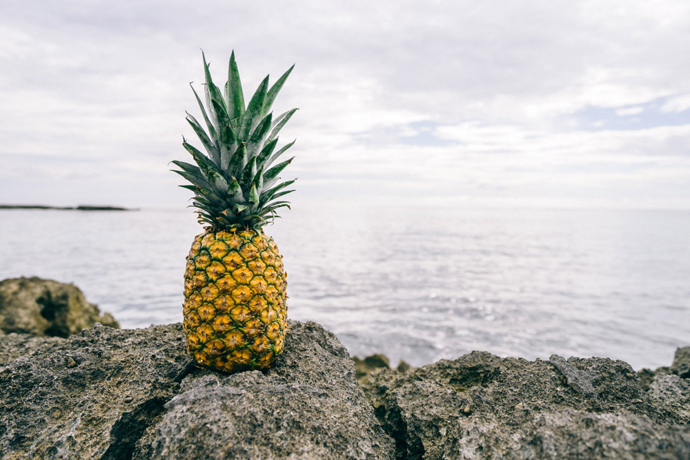 ananas auf vulkangestein vor meer