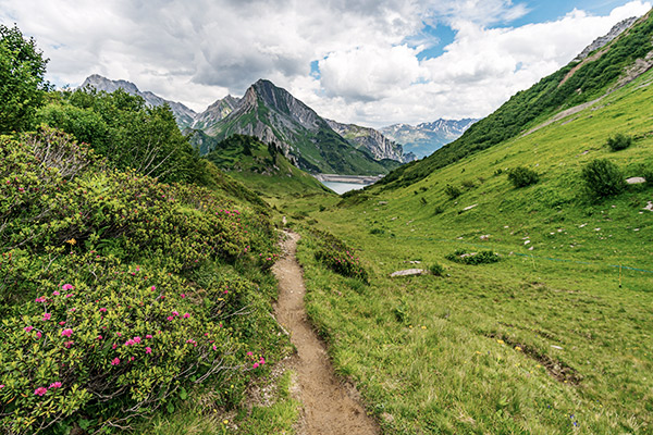 Lechquellengebirge 