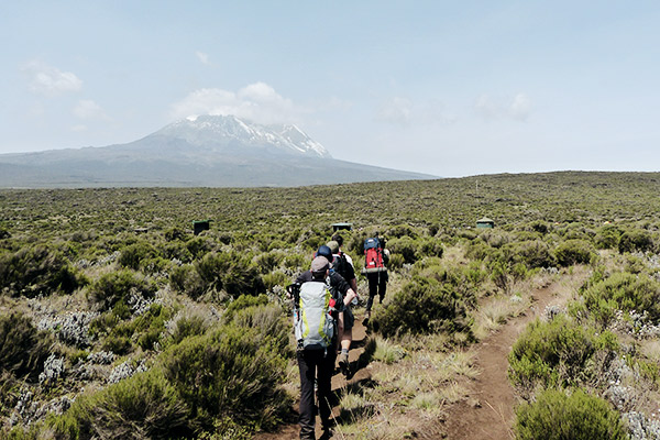 gruppe-lemosho-route-kilimanjaro